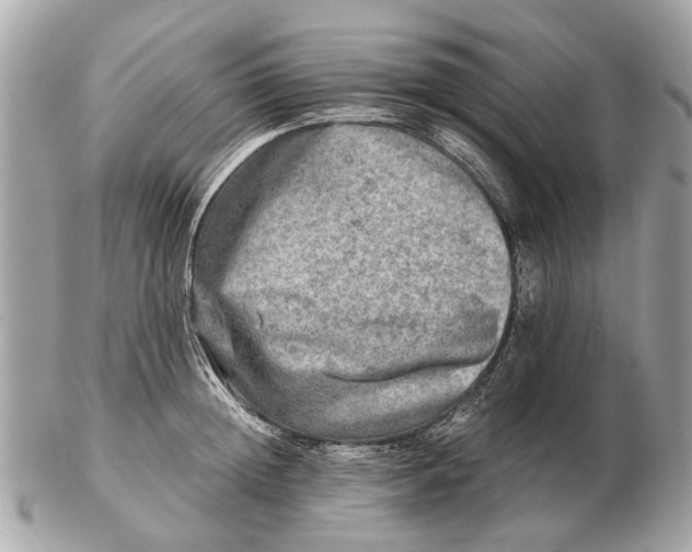 X0000102520852200808291755