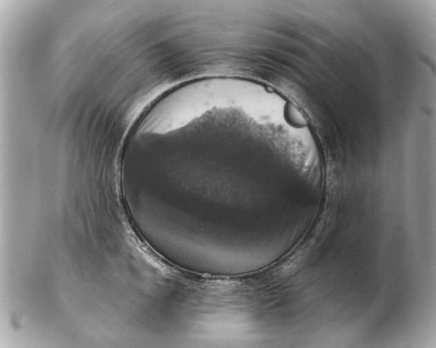 X0000102520854200808291755