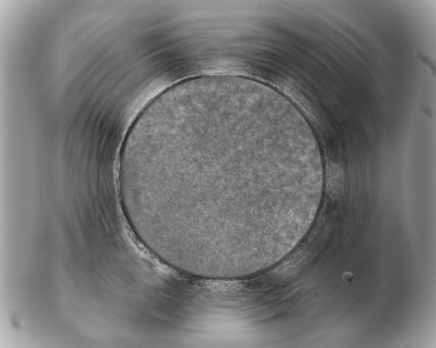 X0000102520856200808291755