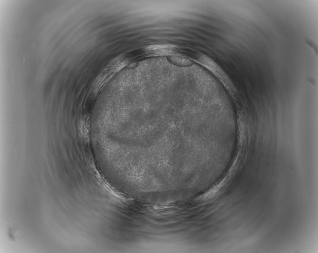 X0000102520857200808291755