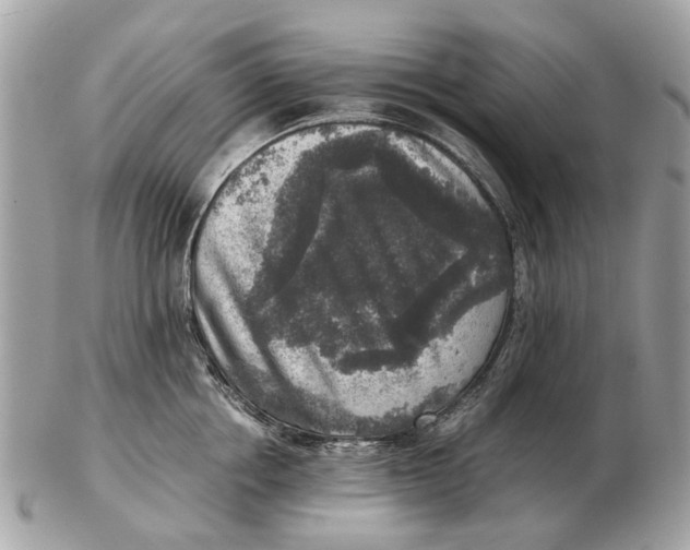 X0000102520858200808291755