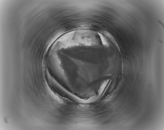 X0000102520859200808291755