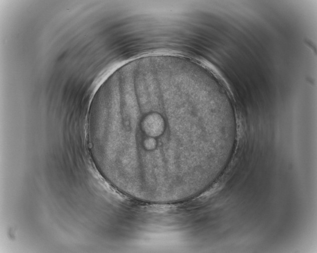 X0000102520860200808291755