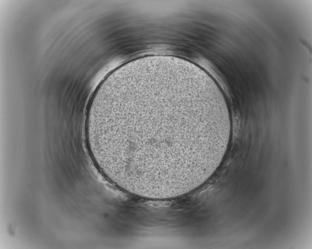 X0000102520861200808291755