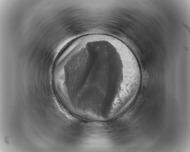 X0000102520862200808291755