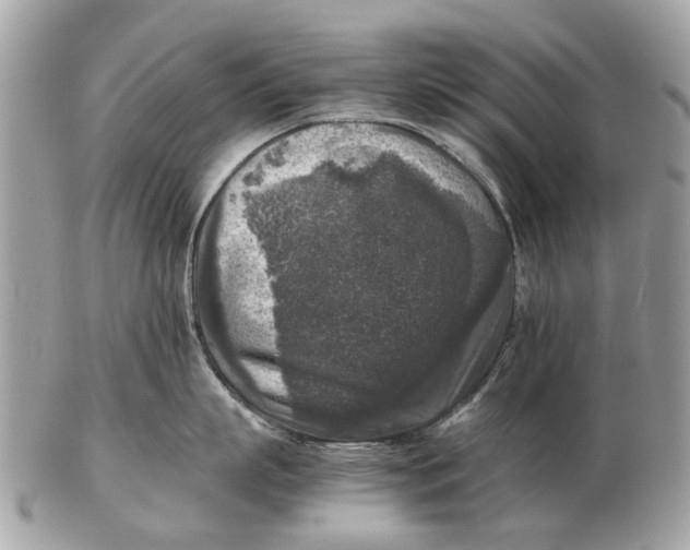 X0000102520863200808291755