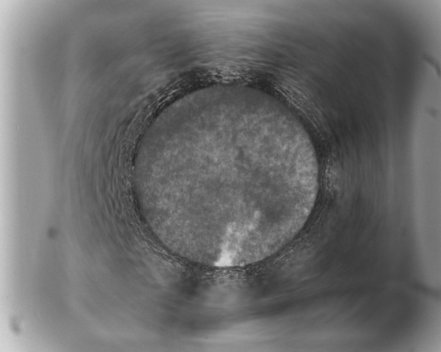 X0000102520865200808291755