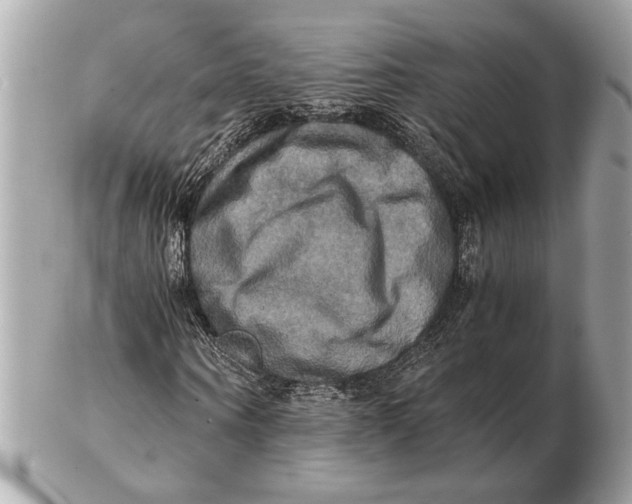 X0000102520866200808291755