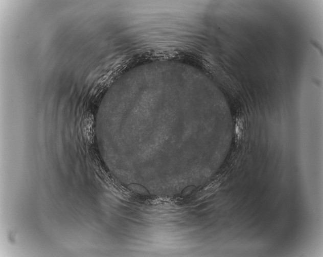 X0000102520867200808291755