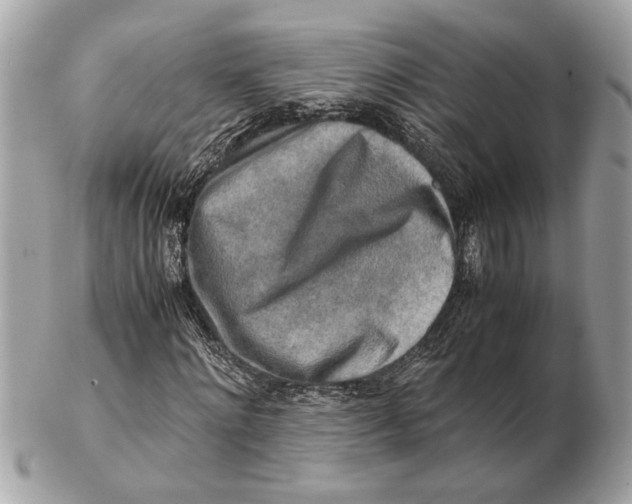 X0000102520868200808291755