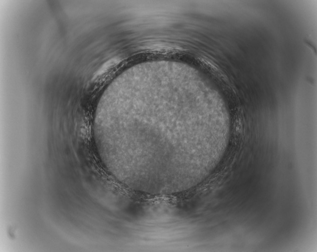 X0000102520869200808291755