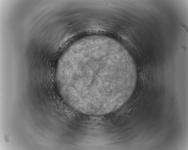 X0000102520870200808291755