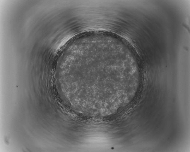 X0000102520871200808291754