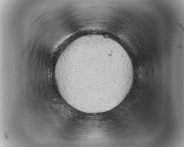 X0000102520872200808291754