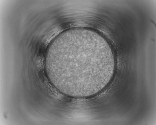 X0000102520873200808291754