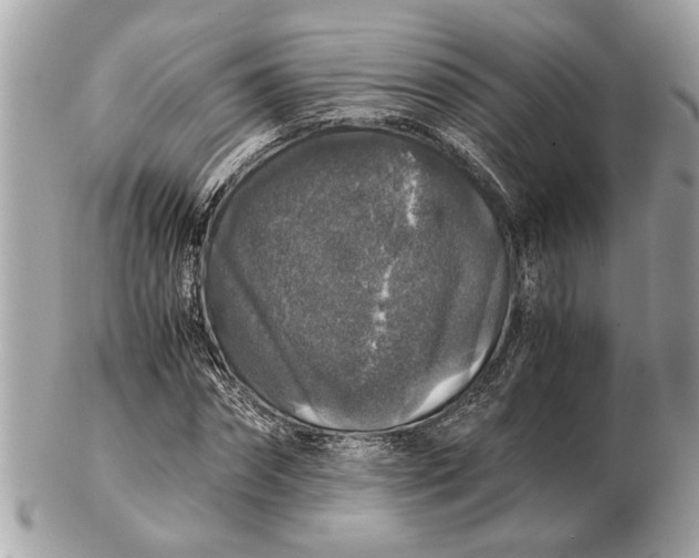 X0000102520874200808291754