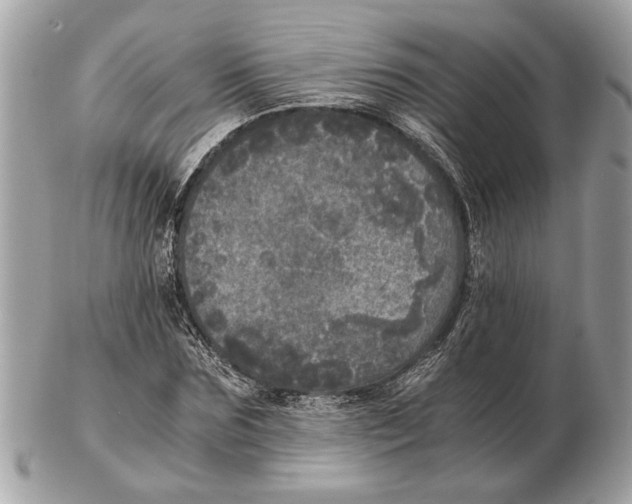 X0000102520875200808291754