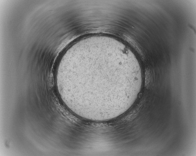 X0000102520876200808291754