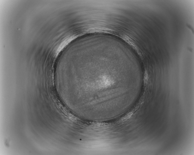 X0000102520877200808291754