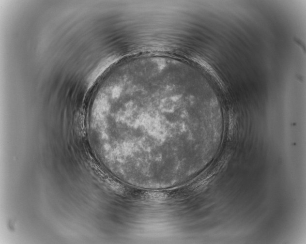 X0000102520878200808291754