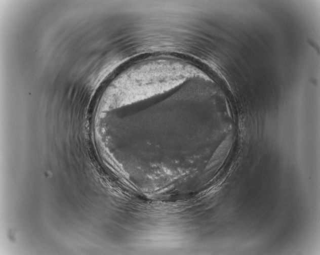 X0000102520879200808291754