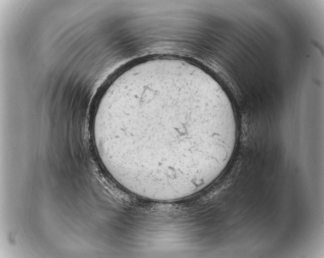 X0000102520880200808291754