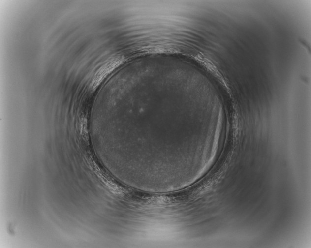 X0000102520881200808291754