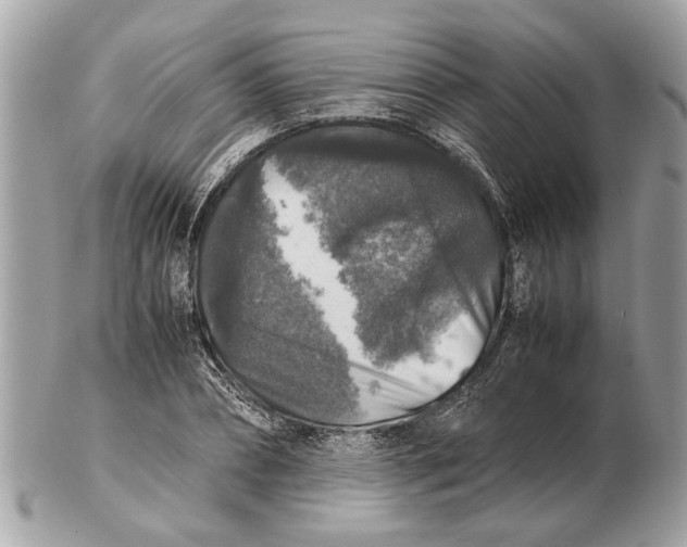 X0000102520882200808291754