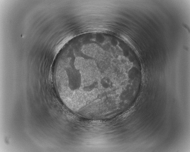 X0000102520883200808291754