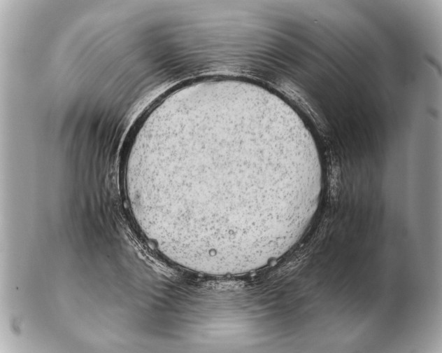 X0000102520884200808291754