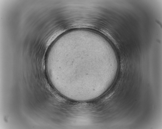 X0000102520885200808291754