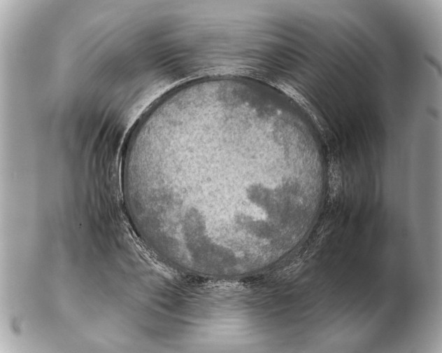 X0000102520886200808291754