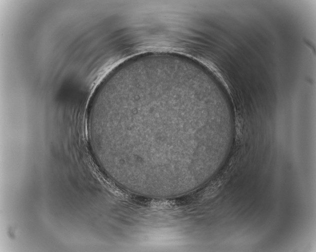 X0000102520887200808291754