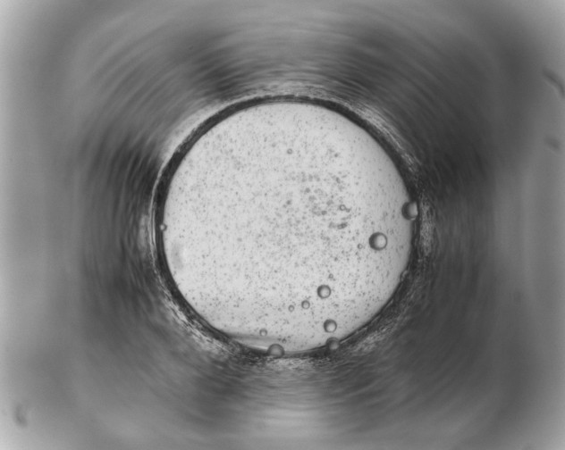 X0000102520888200808291754