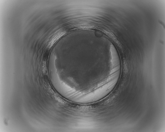 X0000102520889200808291754