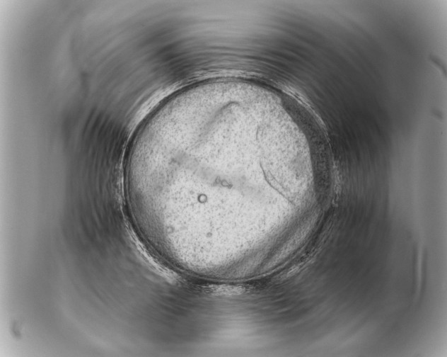 X0000102520890200808291754