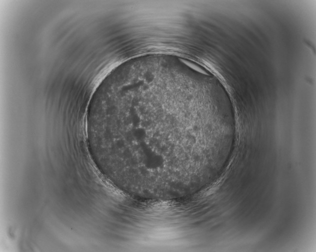 X0000102520891200808291754