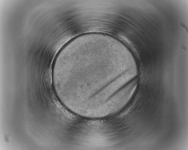 X0000102520892200808291754