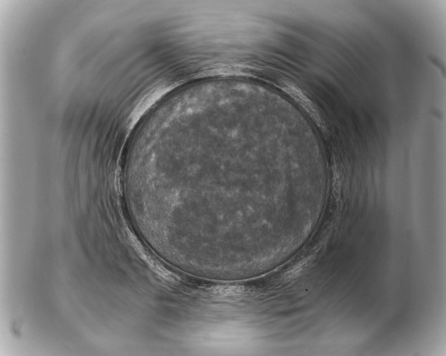 X0000102520893200808291754