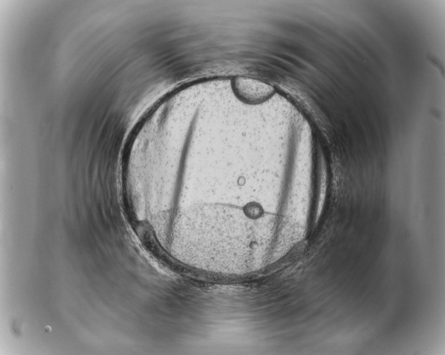 X0000102520894200808291754