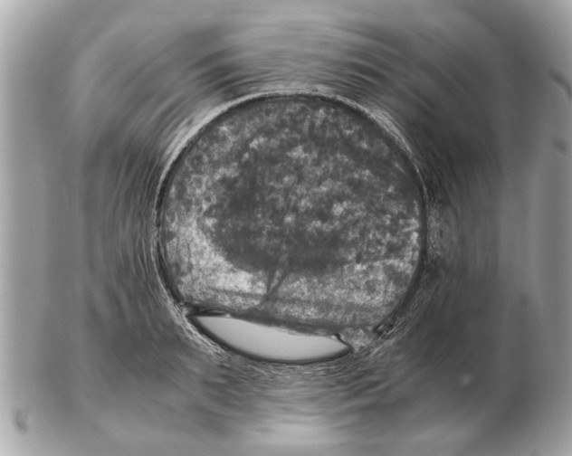 X0000102520895200808291754