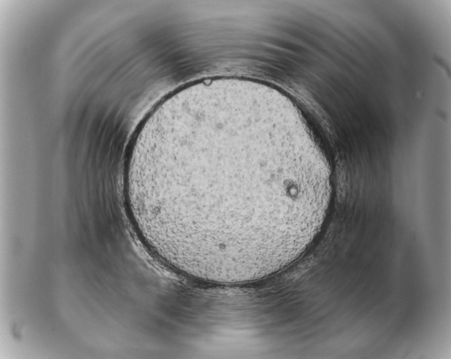 X0000102520896200808291754