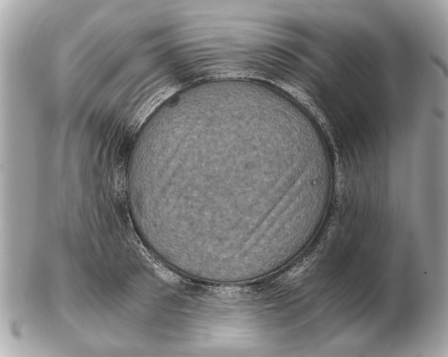 X0000102520897200808291754