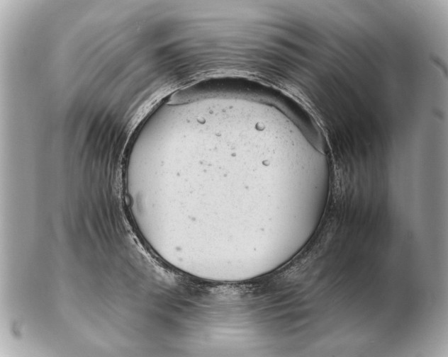 X0000102520898200808291754