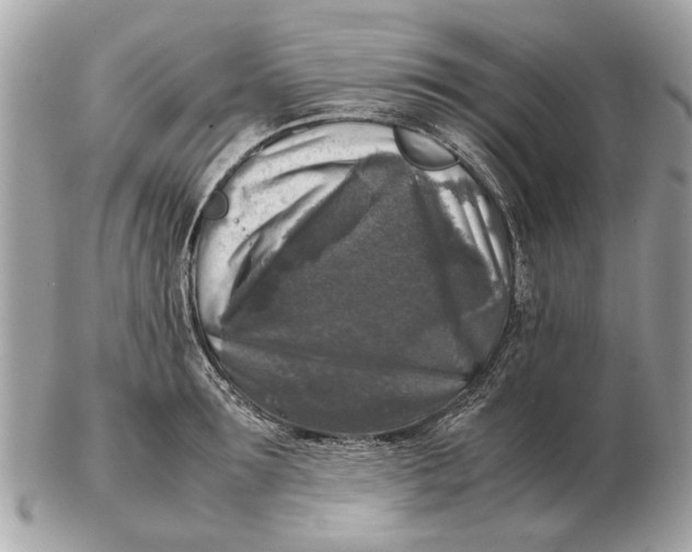 X0000102520899200808291754