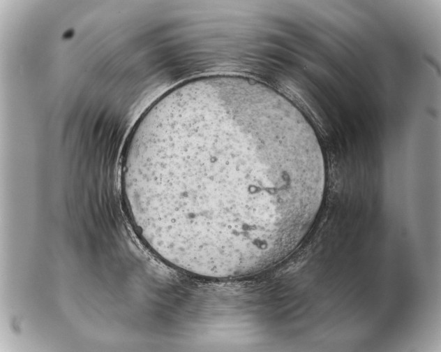 X0000102520900200808291754