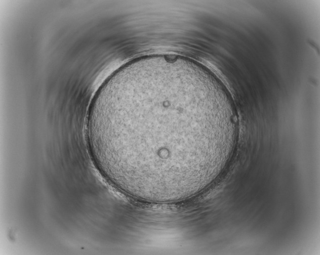 X0000102520901200808291754