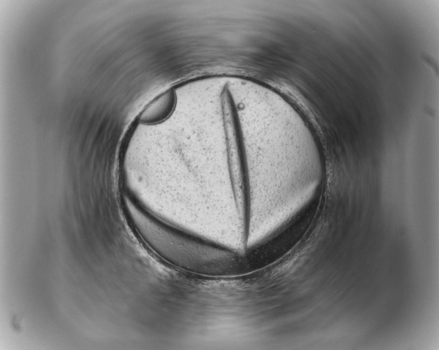 X0000102520902200808291754