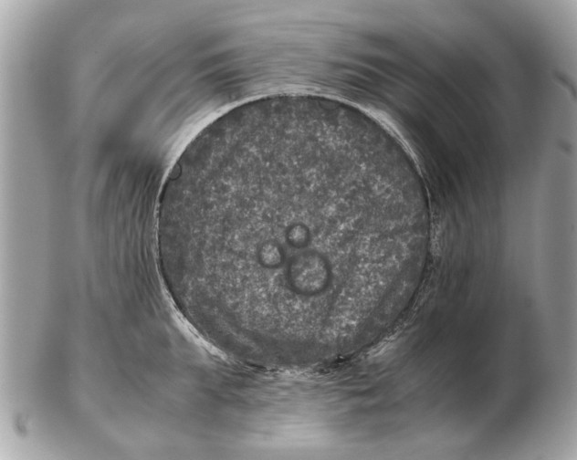 X0000102520903200808291754