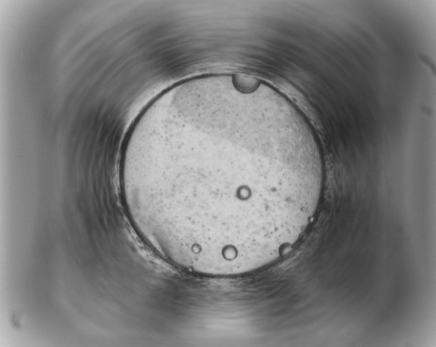 X0000102520904200808291754